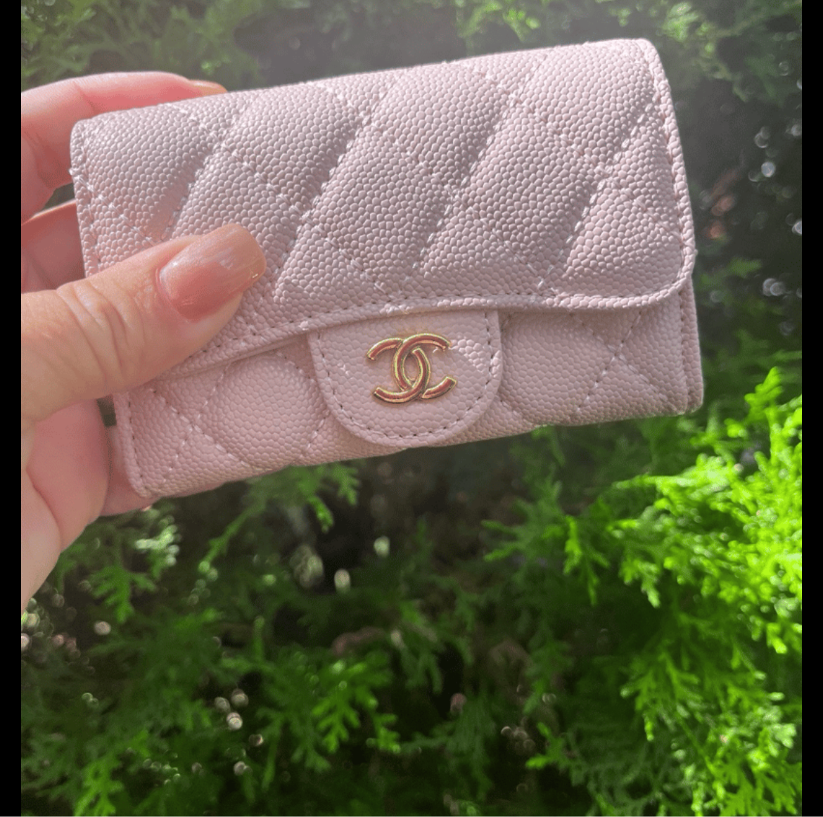 CC pink wallet