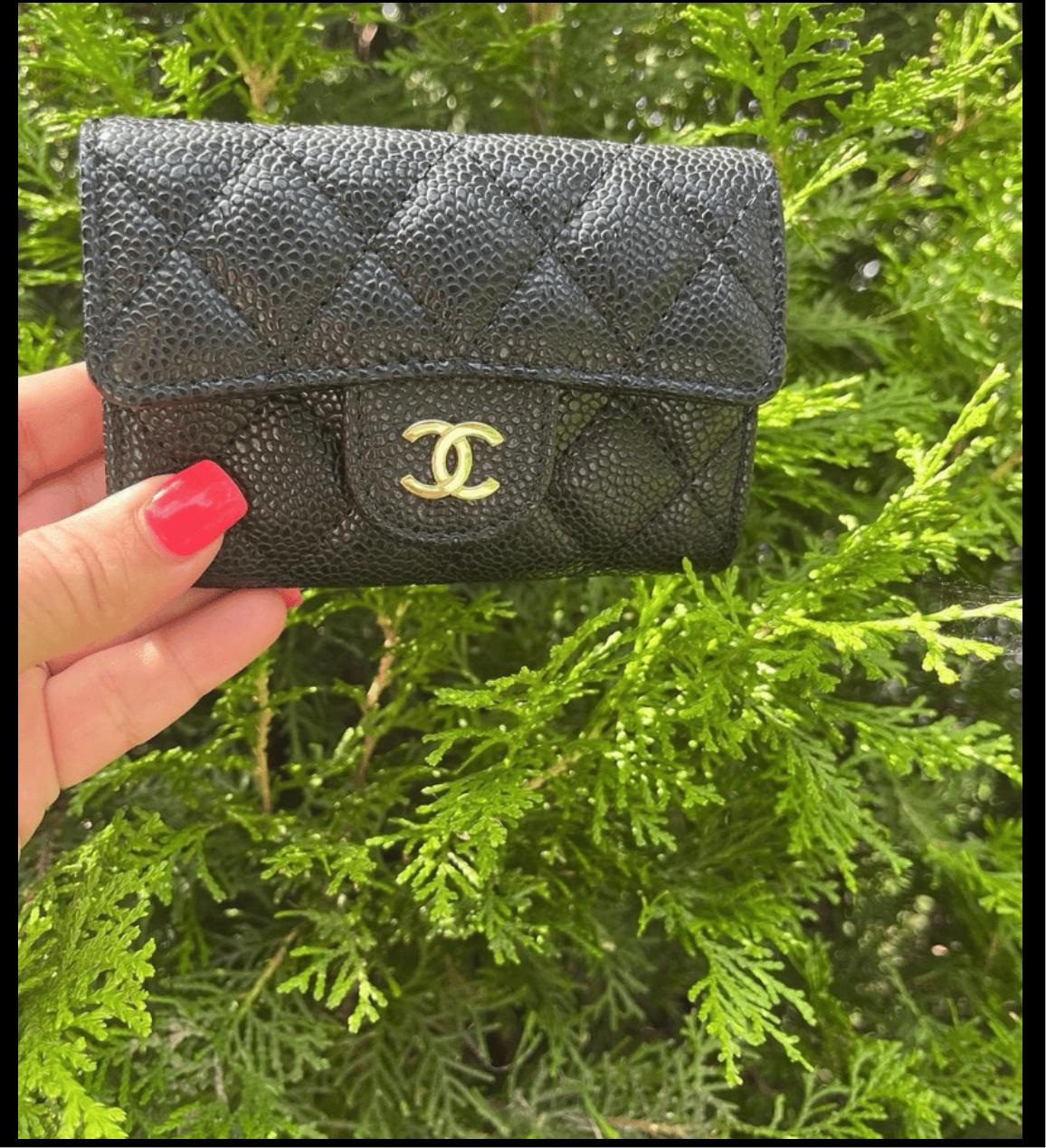 CC wallet black