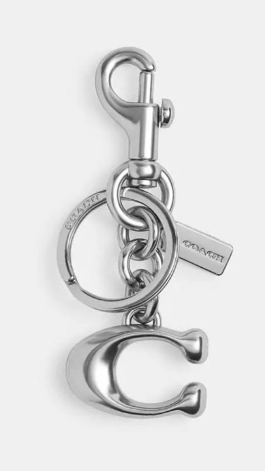 Silver Charms ( 2 styles )